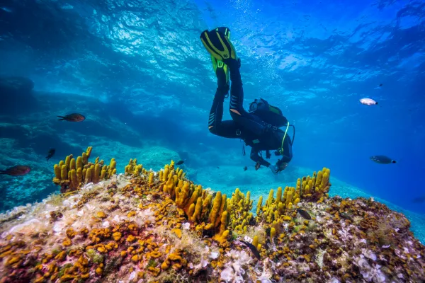 Diving in Denia