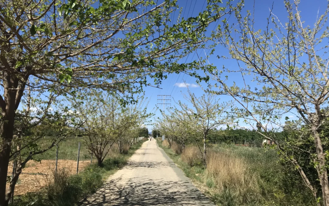 Voie verte de Denia