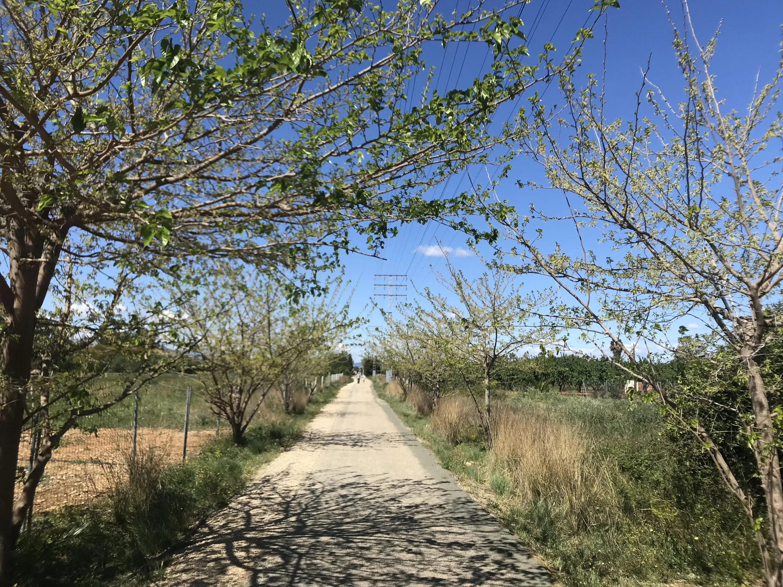 Vía verde de Denia