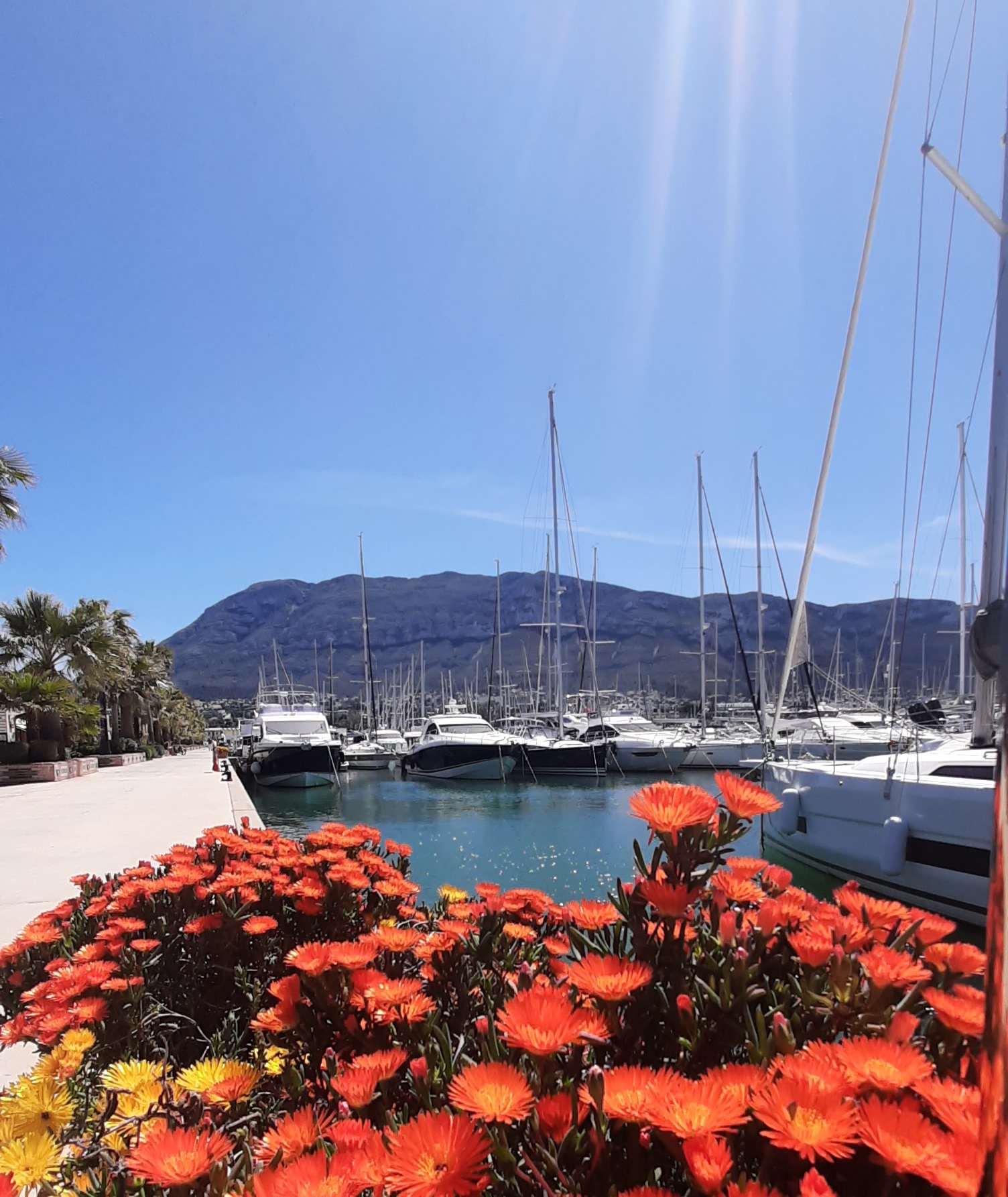 Puerto de Calpe